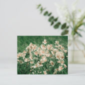 Wilde bloemen briefkaart (Staand voorkant)