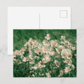 Wilde bloemen briefkaart (Voorkant / Achterkant)