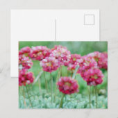 Wilde bloemen briefkaart (Voorkant / Achterkant)
