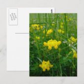 wilde bloemen briefkaart (Voorkant / Achterkant)