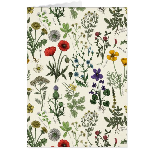 Wilde bloemen collage (Voorkant)