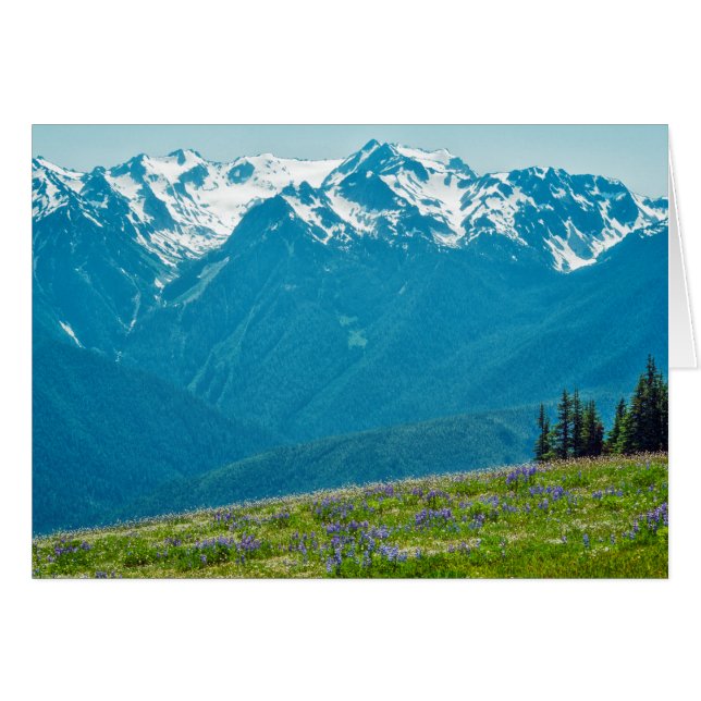 Wilde bloemen en bergen (Voorkant Horizontaal)