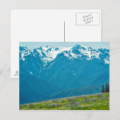 Wilde bloemen en bergen briefkaart (Voorkant / Achterkant)