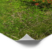 Wilde bloemen en bergen poster (Hoek)