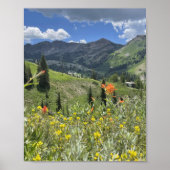 Wilde bloemen en bergen van Utah Poster (Voorkant)