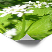 Wilde bloemen en een bijen poster (Hoek)