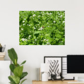 Wilde bloemen en een bijen poster (Thuiskantoor)