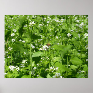 Wilde bloemen en een bijen poster