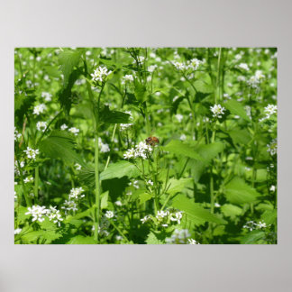 Wilde bloemen en een bijen poster