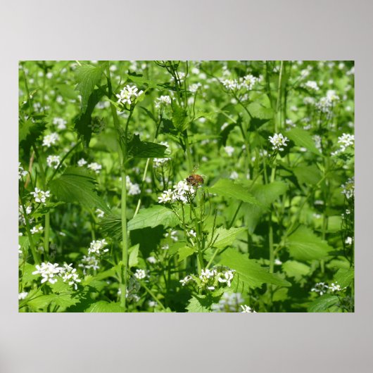 Wilde bloemen en een bijen poster (Voorkant)