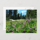 Wilde bloemen en planten briefkaart (Voorkant / Achterkant)