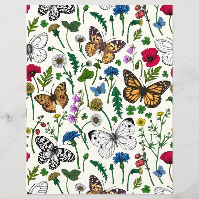 Wilde bloemen en vlinders op wit (Voorkant)