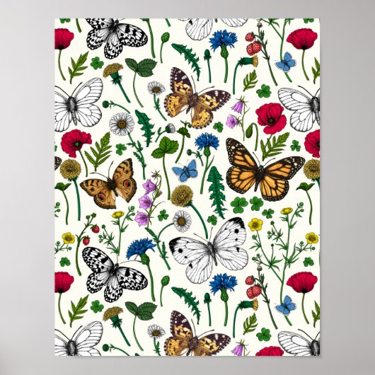 Wilde bloemen en vlinders op wit poster (Voorkant)