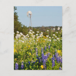 Wilde bloemen en windmolen in Texas Hill Country Briefkaart