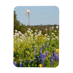 Wilde bloemen en windmolen in Texas Hill Country Magneet