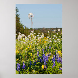 Wilde bloemen en windmolen in Texas Hill Country Poster