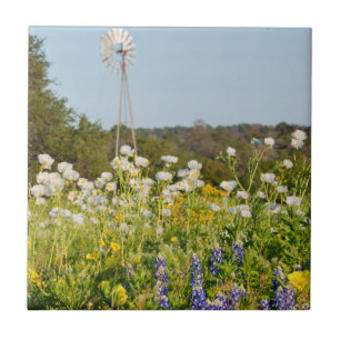 Wilde bloemen en windmolen in Texas Hill Country Tegeltje