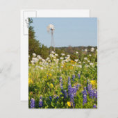 Wilde bloemen en windmolens in Texas Hill Country Briefkaart (Voorkant / Achterkant)