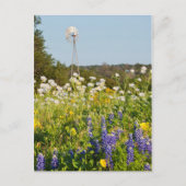 Wilde bloemen en windmolens in Texas Hill Country Briefkaart (Voorkant)