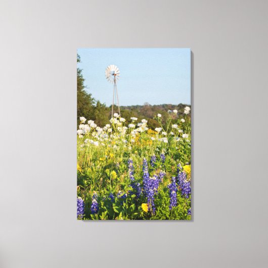 Wilde bloemen en windmolens in Texas Hill Country Canvas Afdruk (Voorkant)