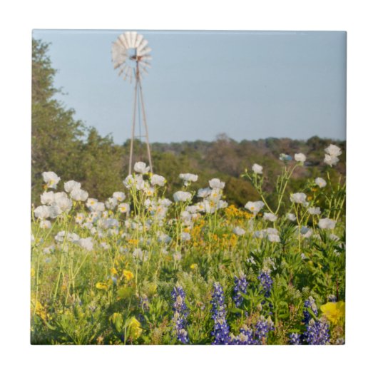 Wilde bloemen en windmolens in Texas Hill Country Tegeltje (Voorkant)