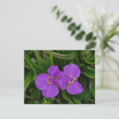 Wilde bloemen Fuchsia Spiderwort Hot Springs Gifts Briefkaart (Staand voorkant)