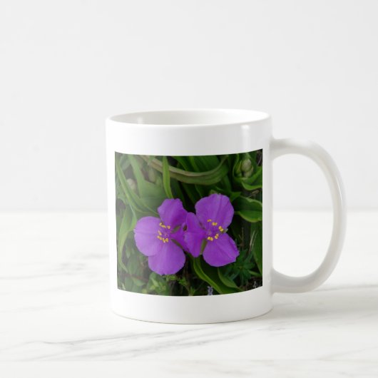 Wilde bloemen Fuchsia Spiderwort Hot Springs Gifts Koffiemok (Rechts)