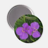 Wilde bloemen Fuchsia Spiderwort Hot Springs Gifts Magneet (Voorkant / Achterkant)