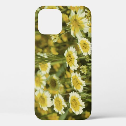 Wilde bloemen Geel en Witte Zonnebloemen Case-Mate iPhone Case (Achterkant)