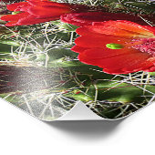 Wilde bloemen - Grand Canyon - Arizona Foto Afdruk (Hoek)