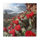 Wilde bloemen - Grand Canyon - Arizona Tegeltje (Voorkant)