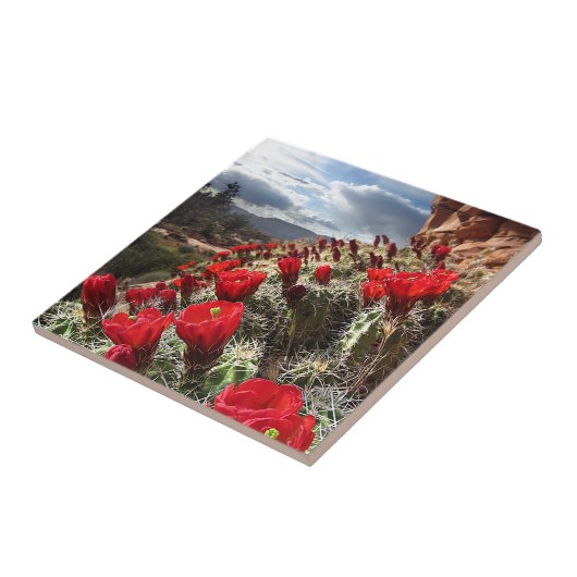 Wilde bloemen - Grand Canyon - Arizona Tegeltje (Zijkant)