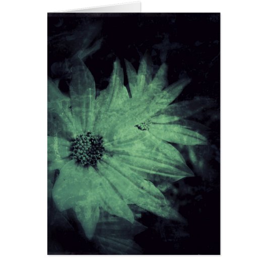 Wilde bloemen grazen alle Occasies Wenskaart (Voorkant)