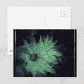 Wilde Bloemen Grunge Briefkaart (Voorkant / Achterkant)