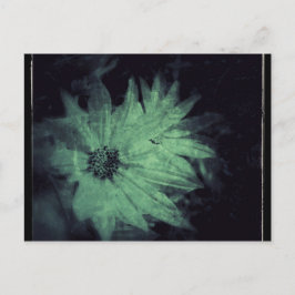 Wilde Bloemen Grunge Briefkaart