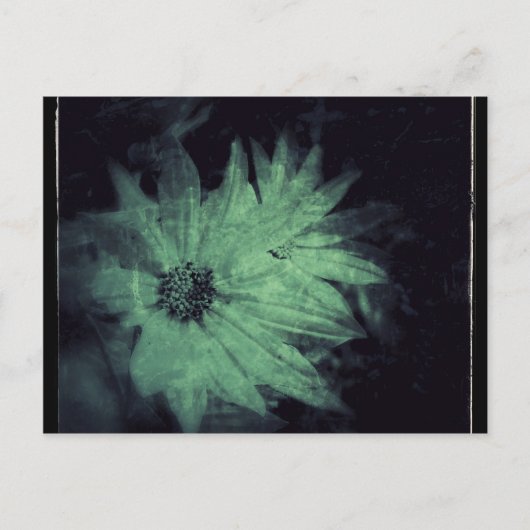 Wilde Bloemen Grunge Briefkaart (Voorkant)