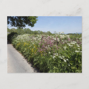 Wilde bloemen Herefordshire Briefkaart