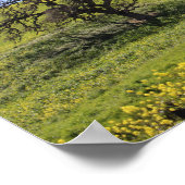 Wilde bloemen Hillside Photo Oak Natuur Schilderac Poster (Hoek)