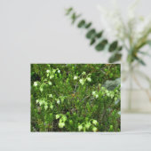 Wilde bloemen II Briefkaart (Staand voorkant)