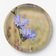 Wilde bloemen in de ochtend