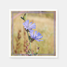 Wilde bloemen in de ochtend