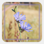 Wilde bloemen in de ochtend vierkante sticker (Voorkant)