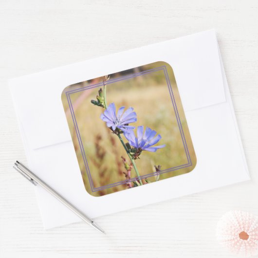 Wilde bloemen in de ochtend vierkante sticker (Envelop)