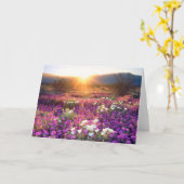 Wilde bloemen in de zon | Anza-Borrego-woestijn Kaart (Gele Bloem)