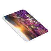 Wilde bloemen in de zon | Anza-Borrego-woestijn Magneet (Rechterzijde)