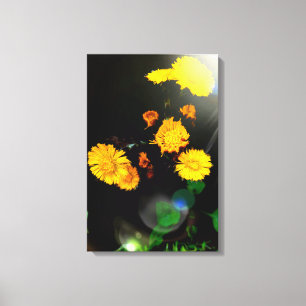 Wilde bloemen in de zon canvas afdruk