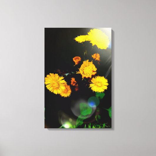 Wilde bloemen in de zon canvas afdruk (Voorkant)