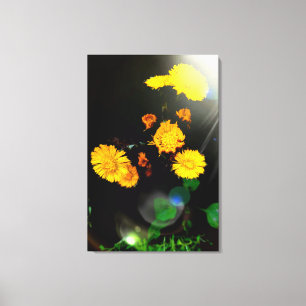 Wilde bloemen in de zon canvas afdruk