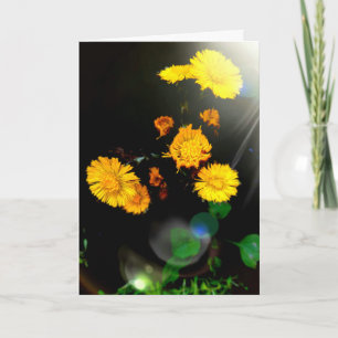 Wilde bloemen in de zon kaart