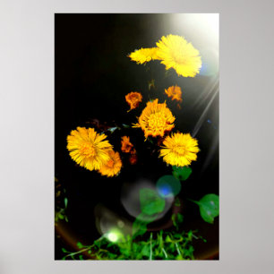 Wilde bloemen in de zon poster